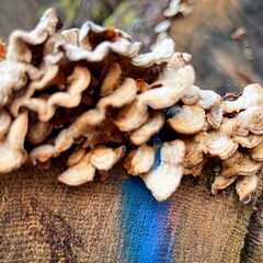 23-03-12 11-45-12 4779